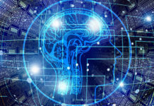 ¡Comprobado!: Los humanos tenemos cada vez menos coeficiente intelectual