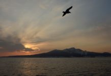 Descubren un antiguo fragmento del fondo del Pacífico atrapado debajo de China