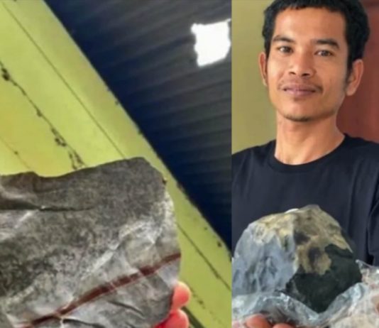 Hombre se vuelve millonario al caerle pequeño meteorito