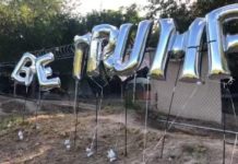 Migrantes festejan victoria de Biden en EU.