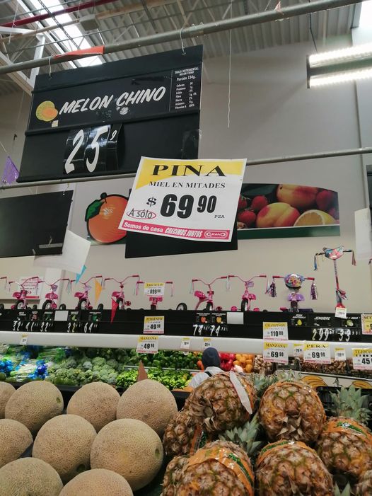 1608238662375_todo caro