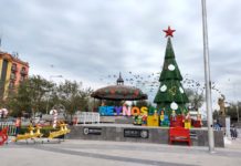 Acuden ciudadanos a tomarse la foto en el pinito navideño