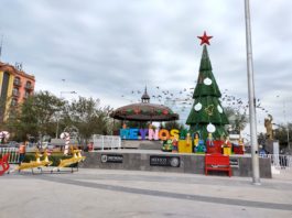 Acuden ciudadanos a tomarse la foto en el pinito navideño