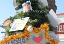 Alzan árbol en memoria de desaparecidos