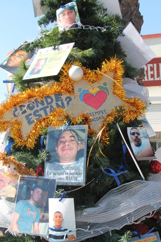 Arbol desaparecidos 12282020