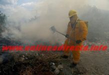 Bomberos sofocan fuego en predio