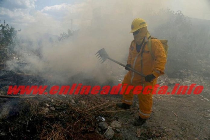 Bomberos sofocan fuego en predio