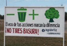 Ciudadanos asumen cuidado de áreas verdes