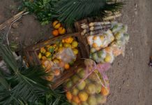 Consumir cítricos por temporada invernal