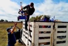 DIF Reynosa benefició a familias de la zona ejida