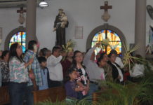 Fieles recibirán indulgencia plenaria en casa