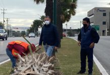 Encabeza Chucho Nader Jornada de Limpieza en los Principales Ejes Viales