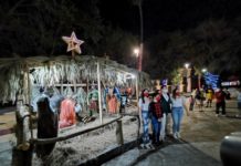 Encienden luces del pino de navidad