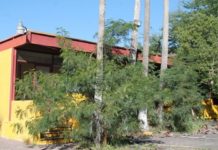 Abandonado complejo de burócratas federales