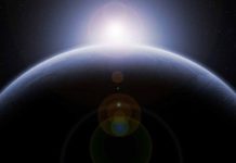 Semillas de arroz brotan en la Luna a bordo de Change 5