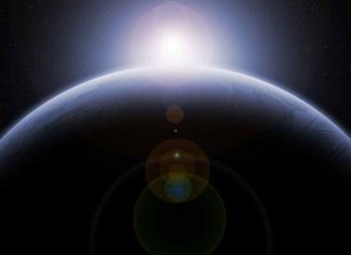 Semillas de arroz brotan en la Luna a bordo de Change 5