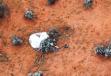 FOTOS: Aterriza la cápsula con muestras del asteroide Ryugu tras seis años de vuelo