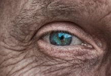 Científicos españoles ‘resucitarán’ ojos de fallecidos en busca de un nuevo tratamiento de la degeneración ocular