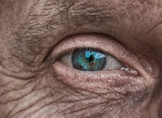 Científicos españoles ‘resucitarán’ ojos de fallecidos en busca de un nuevo tratamiento de la degeneración ocular