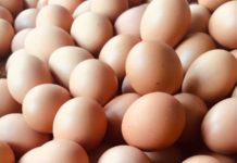 8 datos fascinantes sobre los huevos, uno de los alimentos más nutritivos del mundo