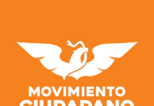 MC irá solo y no se aliará con ningún partido: Gustavo Cárdenas