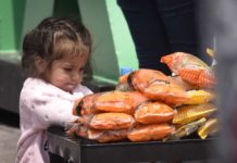 Mala nutrición en niños no se ha logrado combatir: Unicef