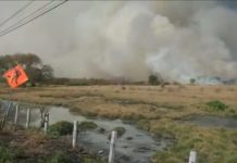 Sofoca PCyB incendio de pastizales