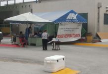 Confirma SST nueva cepa de coronavirus en Matamoros