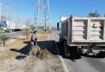 Coadyuva Gobierno Municipal a una ciudad limpia y ordenada