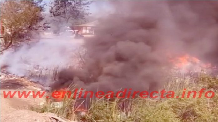 Bomberos acuden a incendio en pastizal