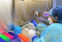 Casos de coronavirus continúan incrementándose, pide Salud evitar salidas innecesarias