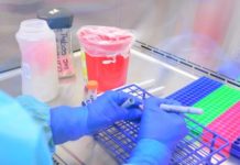 Urge Salud extremar medidas preventivas ante aumento de casos de COVID-19