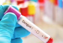 Mal inicia Tamaulipas; segundo lugar en dengue