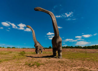 Los fósiles de un dinosaurio hallados en Argentina podrían pertenecer al animal más grande que pisó la Tierra