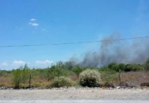 Bomberos sofocan incendio en pastizal