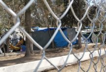 Cruzarán 100 migrantes diarios hacia Estados Unidos