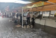 Realizan operativo limpieza en locales de comida en la Plaza Allende