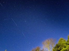 SpaceX afirma que su servicio de Internet satelital Starlink ya tiene más de 10.000 usuarios