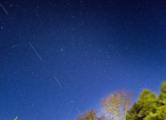 SpaceX afirma que su servicio de Internet satelital Starlink ya tiene más de 10.000 usuarios