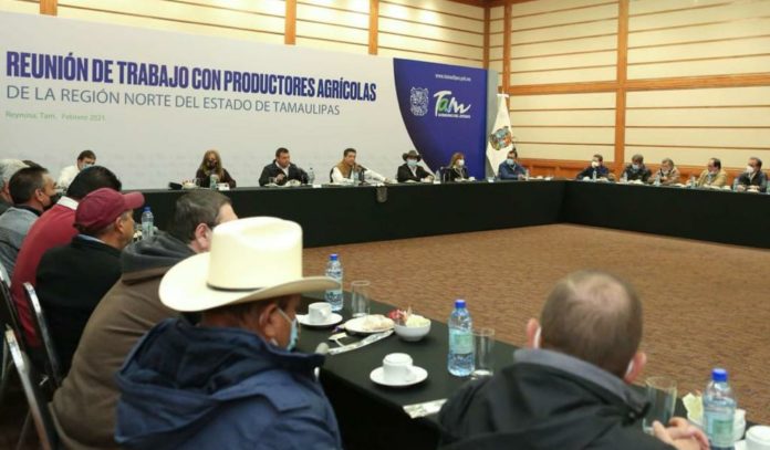 TAM-036-2021.-Gobierno de Francisco Cabeza de Vaca apoyará a los productores afectados por heladas. (3)