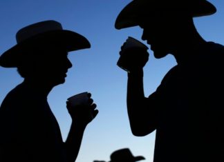 Ocupaciones inciden en el grado de alcoholismo, ¿cuáles?