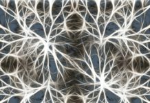 Planean utilizar células madre del cerebro humano para crear microchips más avanzados