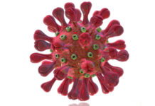 Tamaulipas rebasa los 47 mil infectados por coronavirus