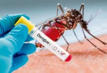 Falsa alarma de dengue; de 109 casos probables; solo se confirman 3