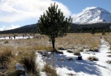 Tamaulipas tendrá una semana con temperatura diurna, hará frío y calor