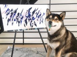 Perrito vende sus obras de arte y ya ha ganado 17 mil dólares