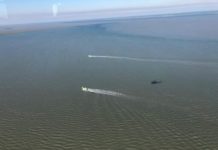 Localizan cuerpo de pescador en la Laguna Madre de San Fernando