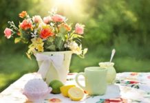 Té verde: por esta razón es importantísimo tomarlo