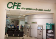 Pide diputado del PAN en el Congreso la destitución del director de la CFE