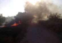 Bomberos acuden a sofocar incendio a orillas de canal